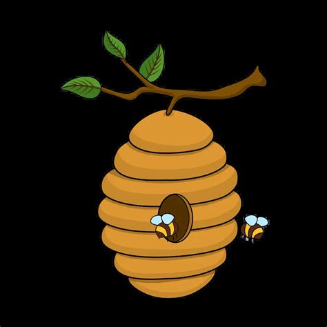 drawing hive reference photos.